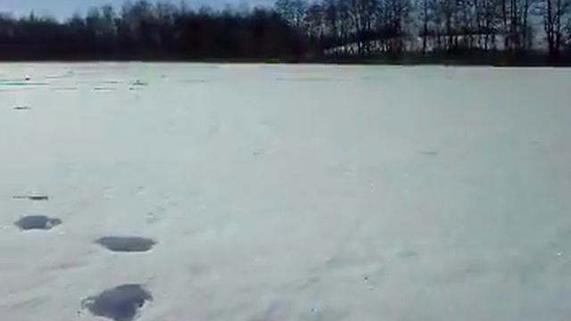 Щука на жерлицу огромная смотреть онлайн