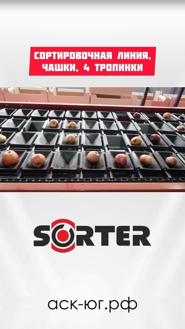 Линия сортировки яблок SORTER (до10 тонн в час) обзор часть 4