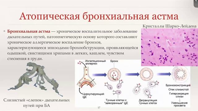 8 Патология. Иммунопатология
