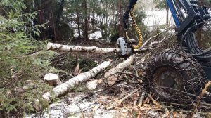 Harvester VIMEK 404SE CRD in action