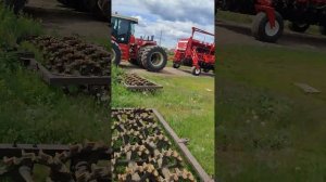 Сеялка Crucianelli Nueva Pionera 10,6м: едем на поле!