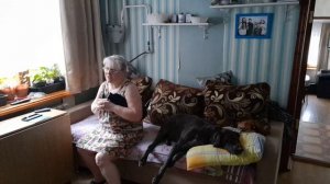 Живём жизнь. Поболтушки о том о сем.