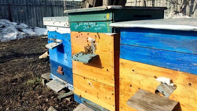 Трейлер облёт 23 февраля смотреть онлайн