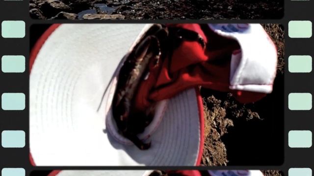 Подводная охота в палос Вердес, Лос Анжелес, Калифорния Oct 27 2011 смотреть онлайн