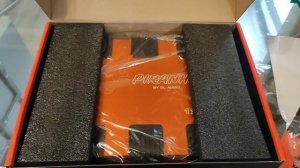 Обзор Dl Audio piranha 1.500