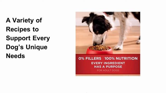 Purina One SmartBlend Natural Sensitive Systems Adult Dog Food смотреть онлайн