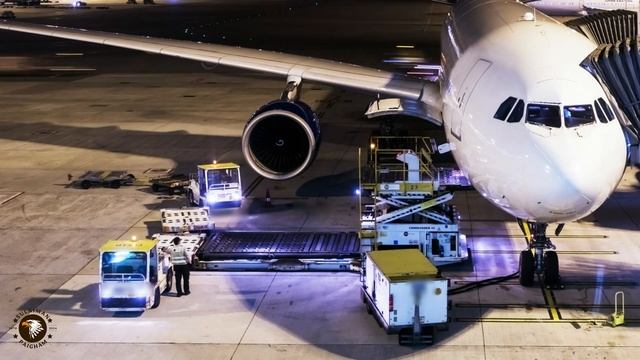 Start an Import Export Business: Step-by-Step Guide for Beginners
