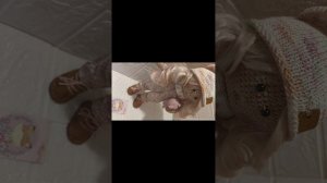 Мой первый год в куклохобби