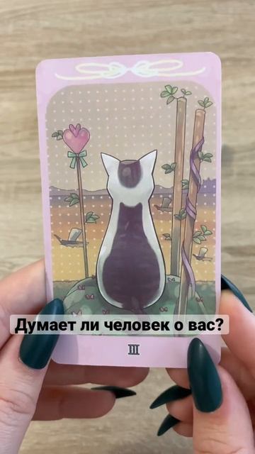 Думает ли человек о вас? #shorts #гадание #таро #каринатаро #школатаро #картытаро #гадалка #tarot смотреть онлайн