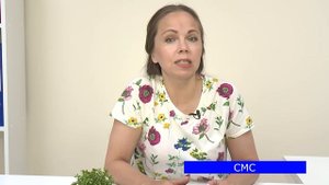 Как проходит процедура банкротства? Пошаговый план процедуры. #списатьдолги, #банкротствофизлиц