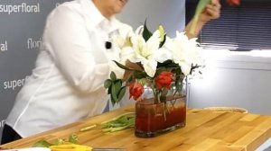 FR Presents: Red Princess Tulips