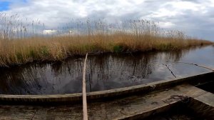 рыбалка на паук подъёмник нашли в болоте ручей и наловили сазана