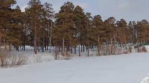 Санаторий Лесное Озеро г. Гурьевск. На льду озера.