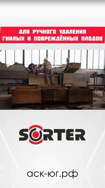 Линия сортировки яблок SORTER (до10 тонн в час) обзор часть 3