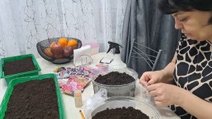 Сделала БОЛЬШОЕ ДЕЛО//к ТЁЩЕ НА блины