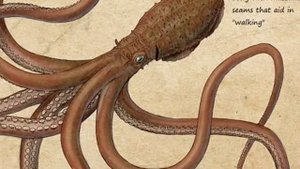 Этих монстров ты не видел!!! | Монстры острова «Черепа»