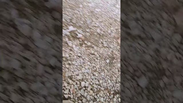 Wireless switch for Tiger shark Superwinch TS9500