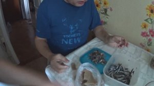 Дегустация хамсы удалась .