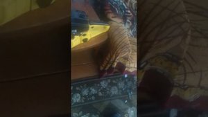Бензопила евролюкс 5220 с озона обзор и судьба Бензопилы Пит