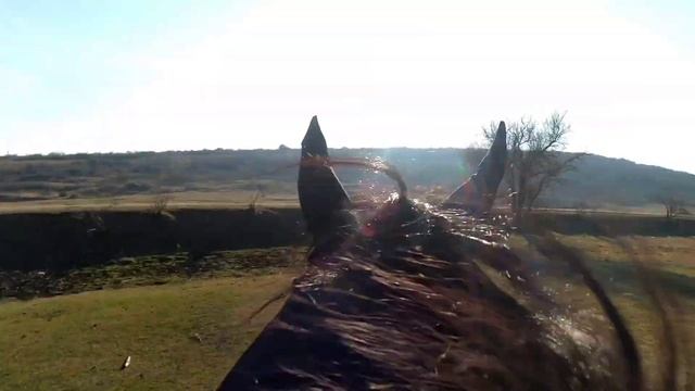 Моя прогулка на лошади) С комментариями 😄 смотреть онлайн