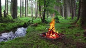 КОСТЁР. РАССЛАБЛЯЮЩЕЕ ВИДЕО ОГНЯ 3К