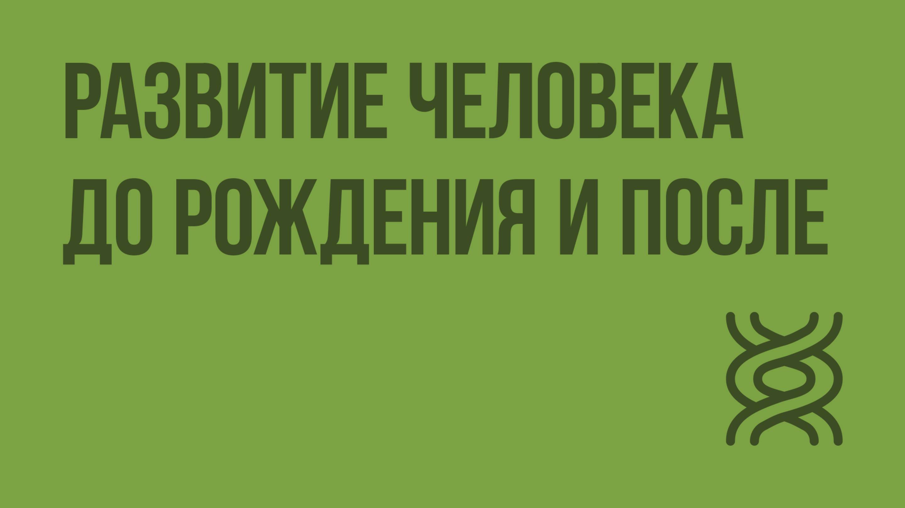 Развитие человека до рождения и после. Видеоурок по биологии 8 класс