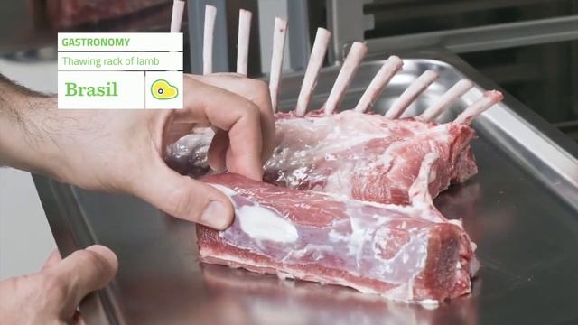 Шокофростер Multifresh - бесподобный многофункциональный  помощник Mya_дилер ROVABO