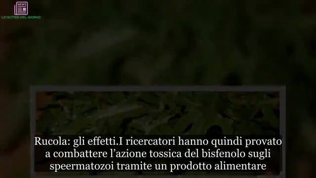 Rucola pianta salva-spermatozoi: ecco perché