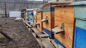 Облёт 02/04/2022 г.