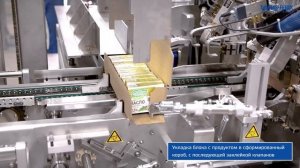 Формирование коробок и укладка брикетов на ребре  / SPM-WRAPAROUND - 15