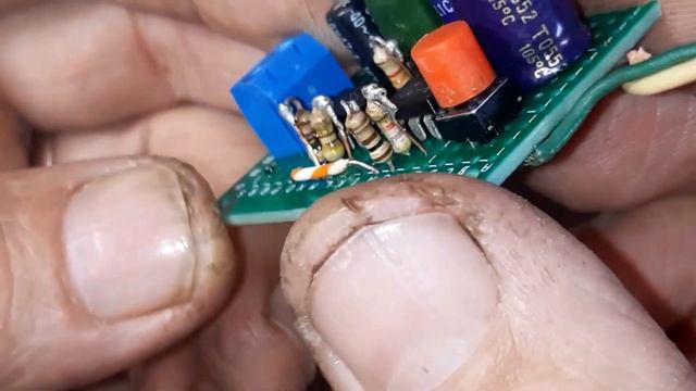 ПТИЧЬЕ ПЕНИЕ смотреть онлайн