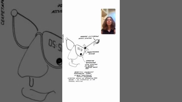 СОВЕТСКИЕ ИДЕИ, ОПЕРЕДИВШИЕ ВРЕМЯ | Ольга Дружинина о проекте СФИНКС и часах «Гомо Телекомус»