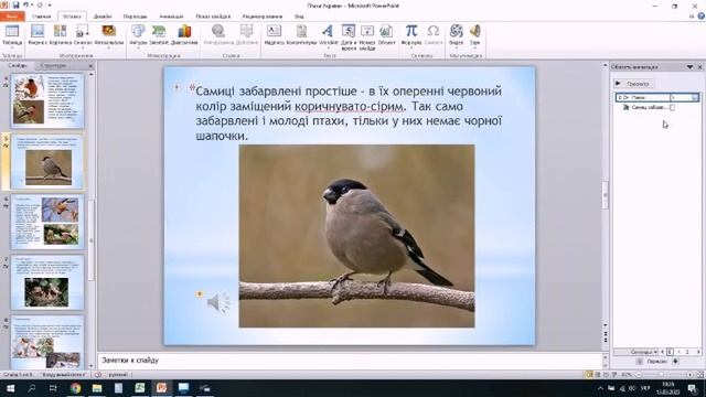 Озвучка презентації смотреть онлайн