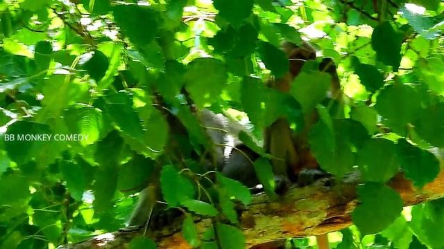 WELL DONE...BITE//JANE BITES BRAT JANNA SO HARD COS SHE CHASES JANNA FROM HER, JANE NEEDS TO REST смотреть онлайн