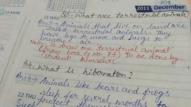 Science Revision Ch-9(Adaptations in Animals) Q/A.... смотреть онлайн