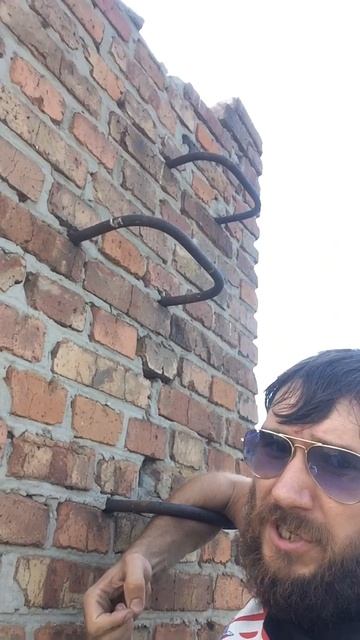 шея жирафа смотреть онлайн