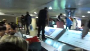 Получение багажа в Домодедово