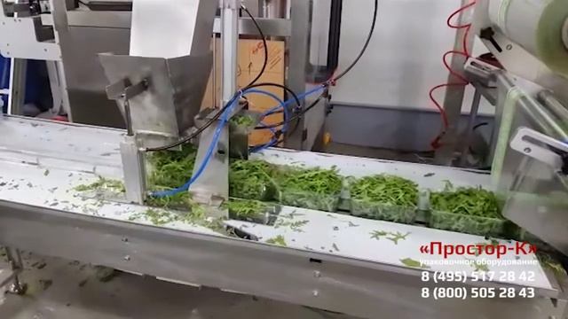 Фасовка руколы в лотки на мультиголовочном весовом дозаторе