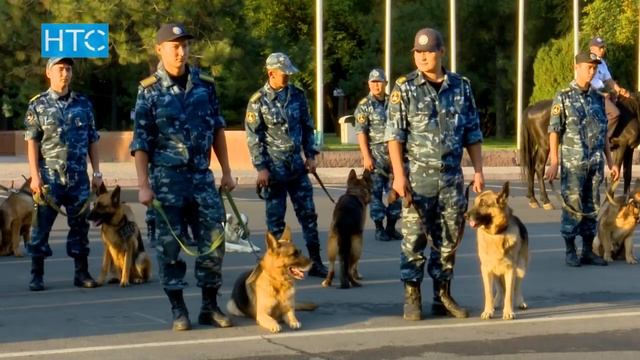 К охране общественного порядка привлечено более 9 тыс. сотрудников / 30.08.17 / НТС смотреть онлайн