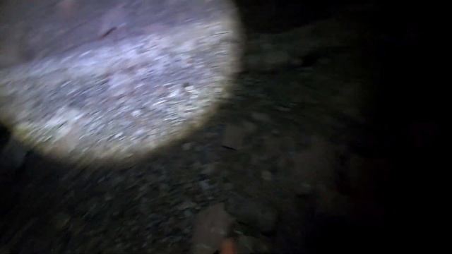 Столько находок мы не ожидали найти.Дом часовщика смотреть онлайн