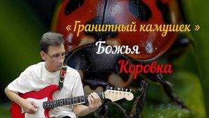 Божья коровка - Гранитный камушек (Cover)