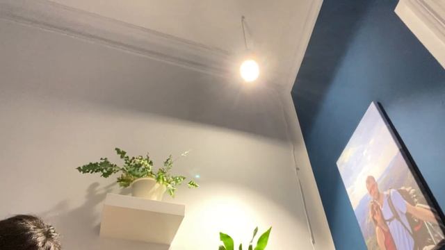 LED GROW LIGHTS : Grow lights for houseplants (PART 3)