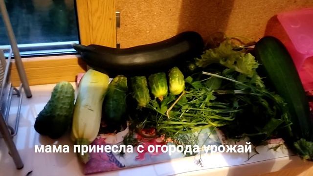 МАКАРОЛЛЫ В ДУХОВКЕ. МУЖ РЕМОНТИРУЕТ ВЕРОНИКИН ВЕЛОСИПЕД🚴🚲🚵.