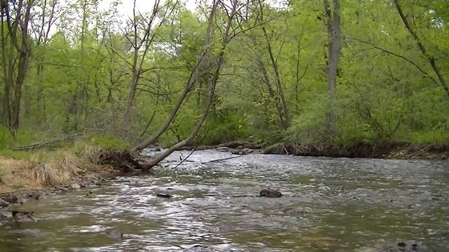 расслабляющие звуки потока воды, 2 часа смотреть онлайн