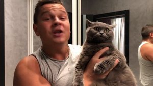 Британка из тик тока . Стихотворение