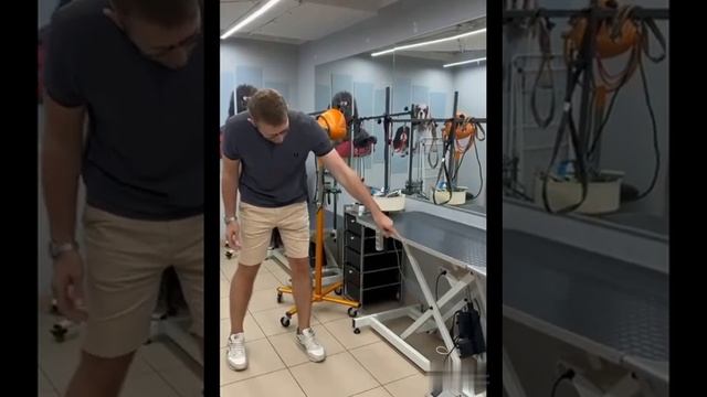 Встреча в г Кострома WIKIZOO и Четыре лапы объединяют усилия в сфере груминга смотреть онлайн