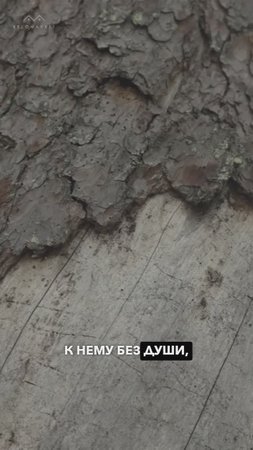 📍Как испортить Кело? #kelo #соснакело #отделкаизкело