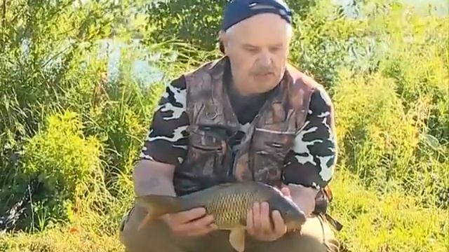 Прудовый карп. смотреть онлайн