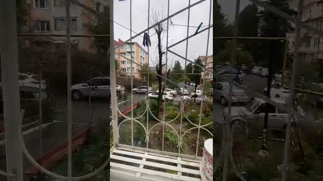 video5352939095305772748