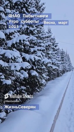 Весна в северном городе за Полярным кругом Ямало-Ненецкий АО Лабытнанги ЖизньСеверян 2025